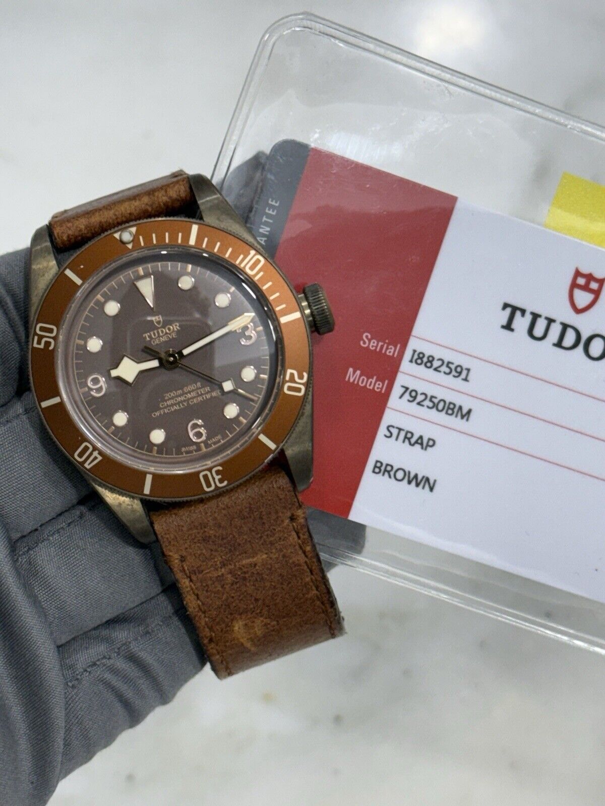 Tudor Black Bay Bronze Brown Dial 43mm Automatic Men’s Watch 79250BM - B/P