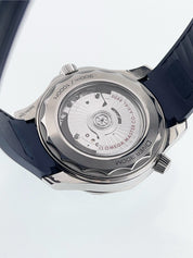 Omega Seamster Stainless Steel Grey Dial 42mm Automatic Mens 210.32.42.20.06.001