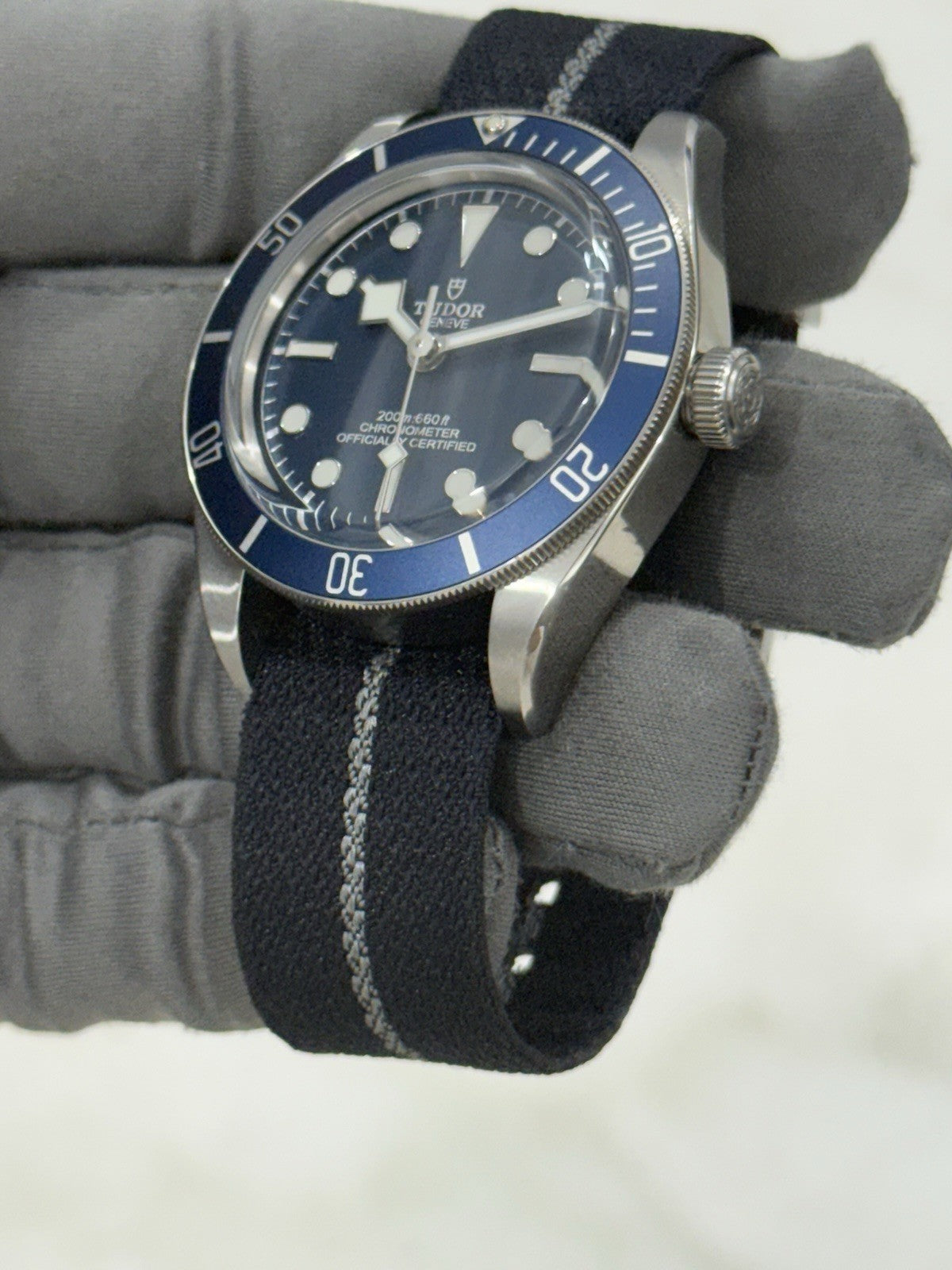 2024 Tudor Black Bay 58 Blue 79030B  Stainless Steel 39mm Automatic Watch - B/P