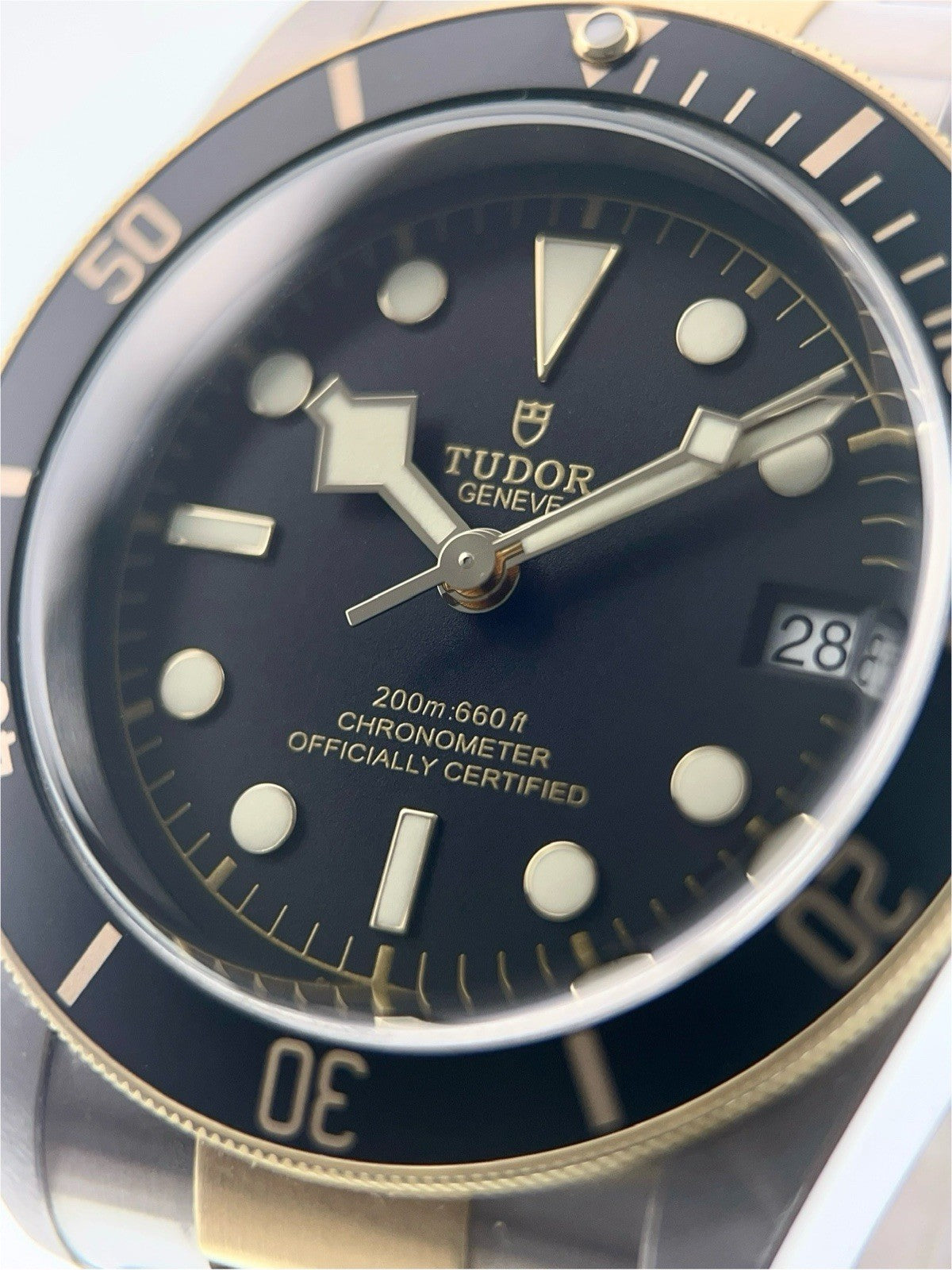 Tudor Black Bay 79733N