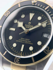 Tudor Black Bay 79733N