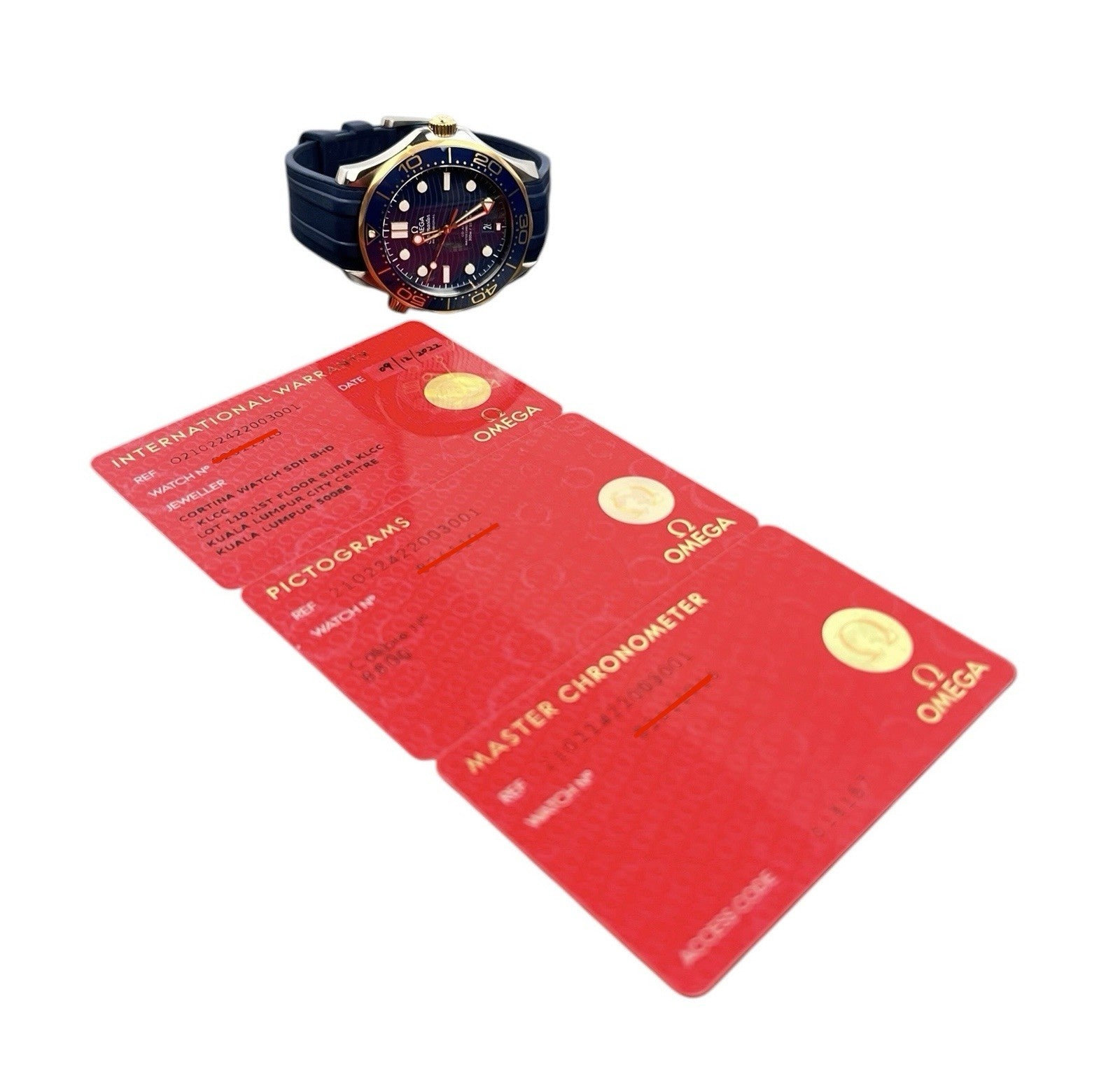 Omega Seamaster Diver Blue Dial Gold & Steel 42mm Automatic 210.22.42.20.03.001