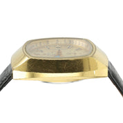 Omega Seamaster Gold Color Dial Gold Plated 42x49mm Automatic Mens Watch 176.005