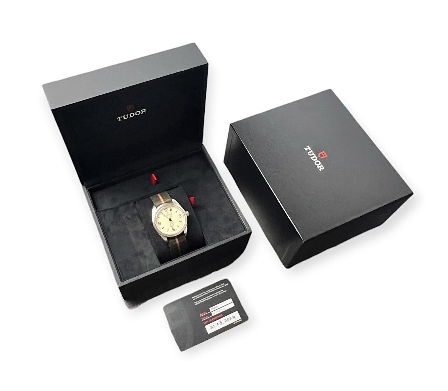 2026 Tudor Ranger Beige Dial Stainless Steel 39mm Automatic Movement Men’s 79950