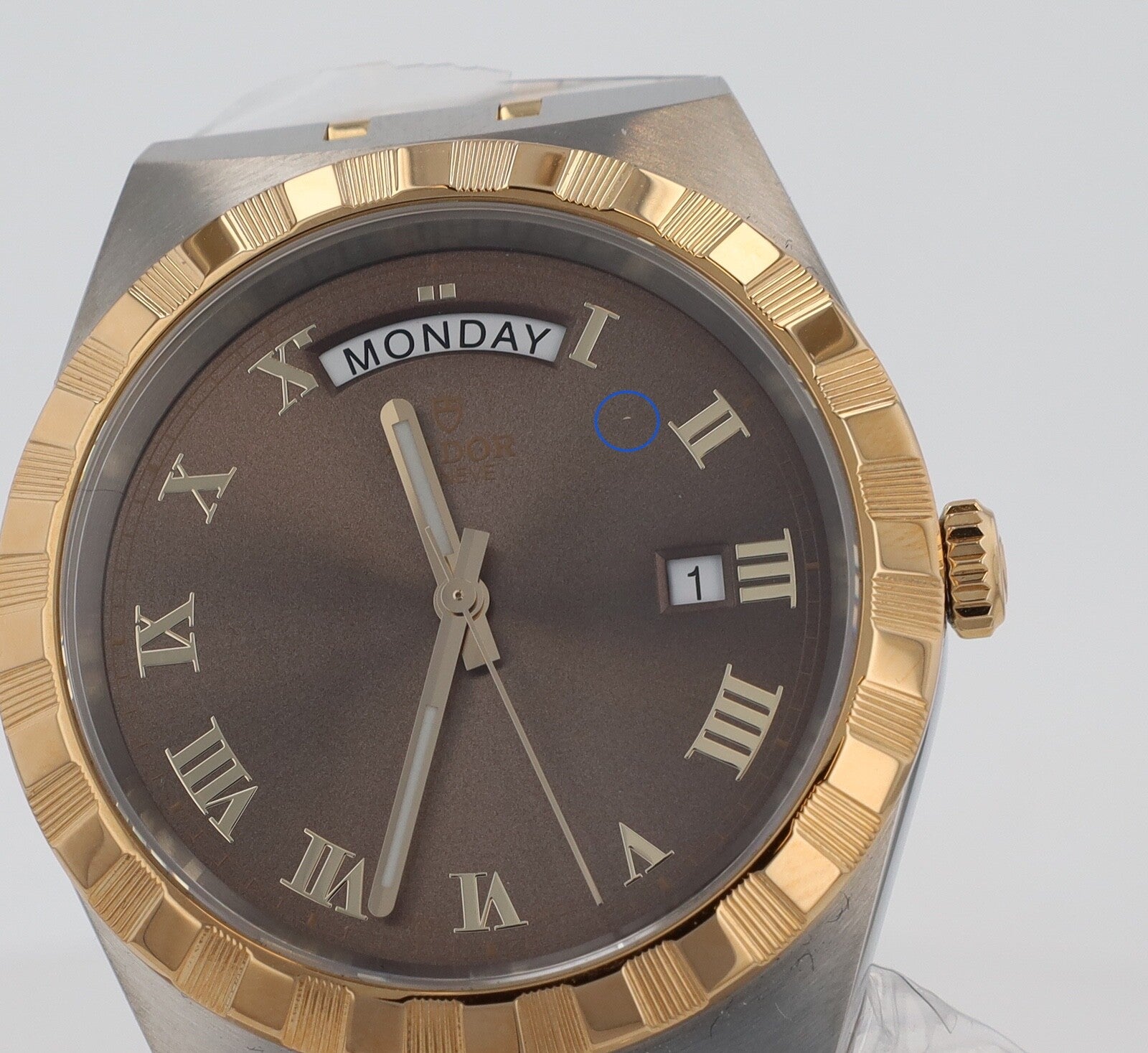 2024 NEW Tudor Royal Brown Dial Two Tone  Men's Automatic 41mm Watch B&P