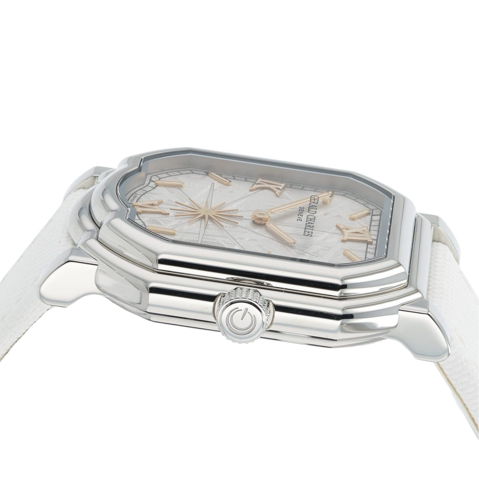 Gerald Charles Mastro Meteorite Dial Swiss Steel 39mm Automatic GC2.0.SSPS-MT04