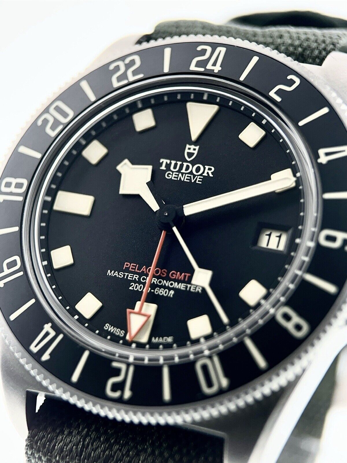 2025 NEW Tudor Pelagos FXD GMT Titanium Black Dial 42mm Auto Watch 2542G247NU