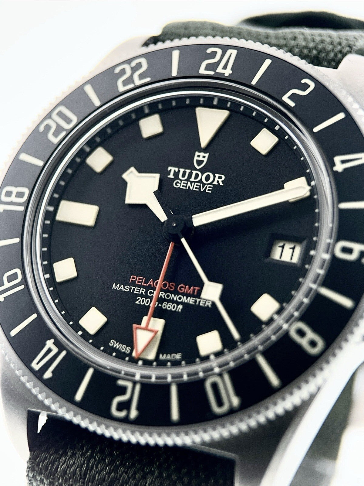 11/2024 Tudor Pelagos FXD GMT Titanium Black 42mm Automatic Watch 2542G247NU