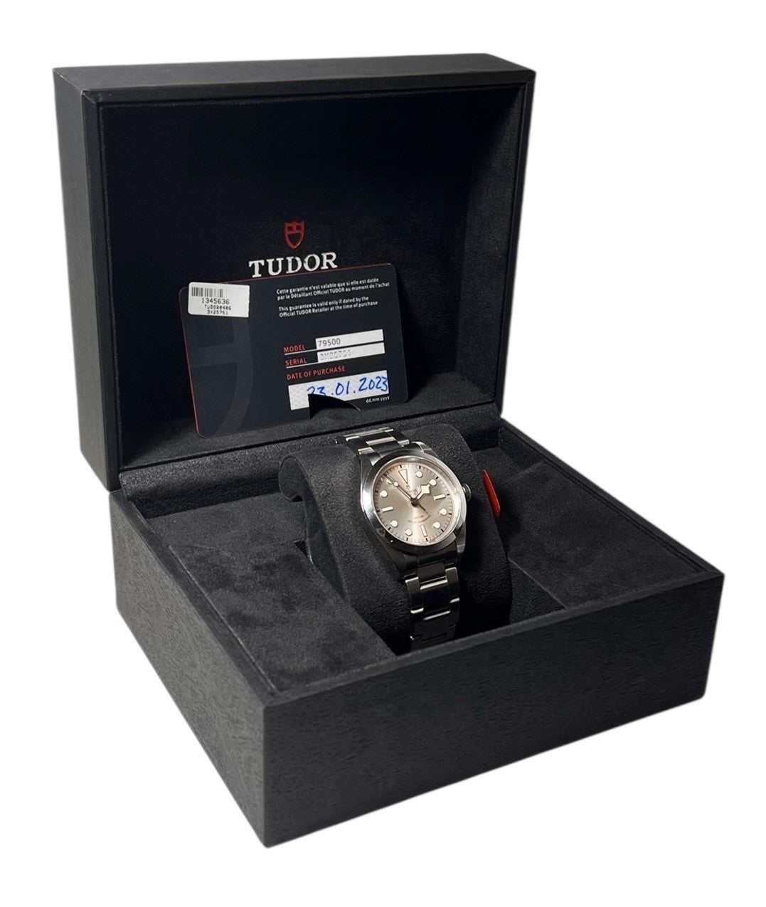 Silver Tudor Black Bay 36 M79500 | Birmingham Luxury Watches Birmingham, Michigan