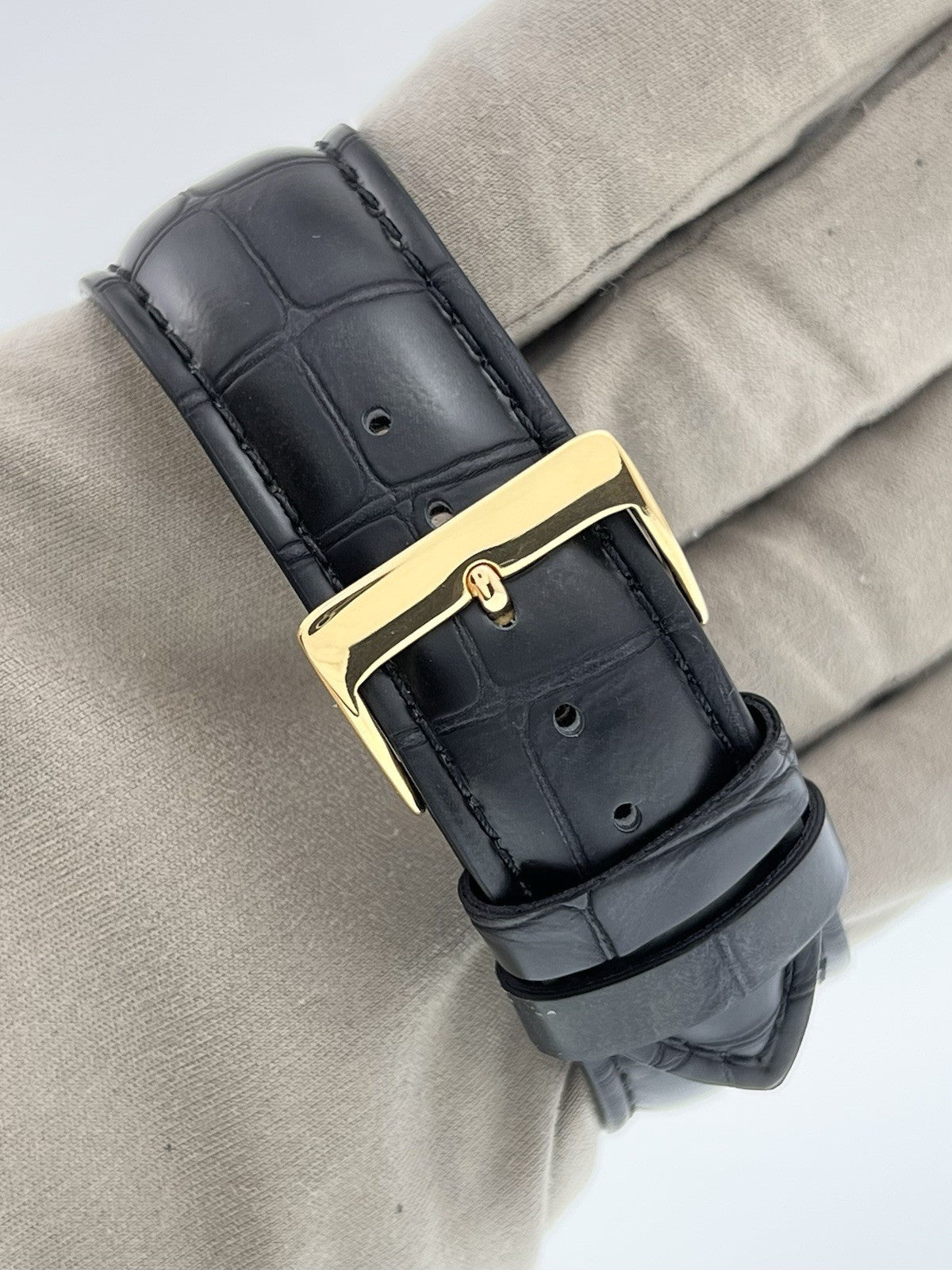 Bronze Tudor Black Bay 43 M79250BA | Birmingham Luxury Watches Birmingham, Michigan