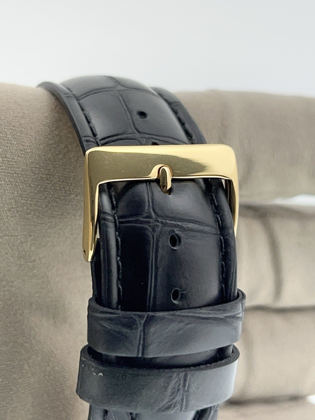 Bronze Tudor Black Bay 43 M79250BA | Birmingham Luxury Watches Birmingham, Michigan