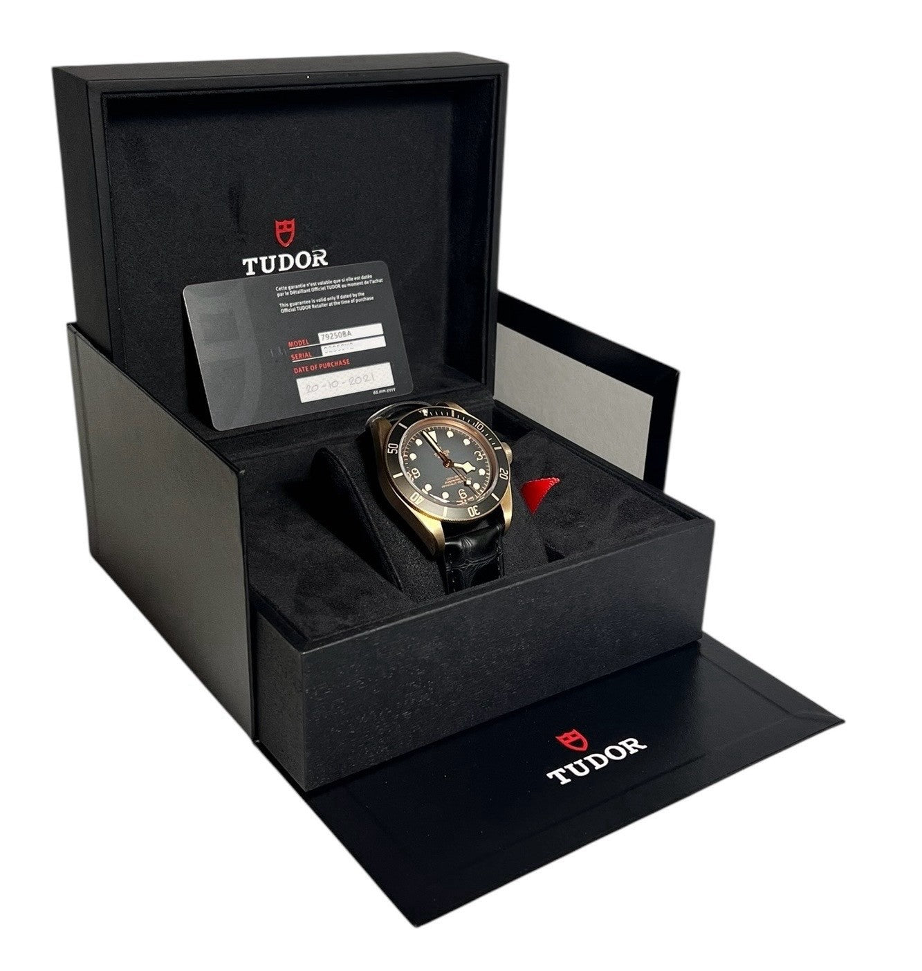 Bronze Tudor Black Bay 43 M79250BA | Birmingham Luxury Watches Birmingham, Michigan