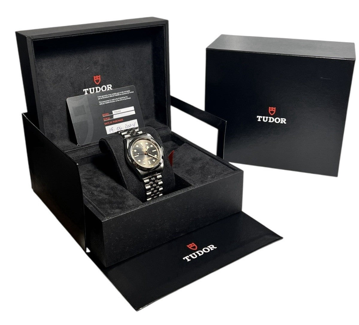 2024 Steel Mens Tudor Black Bay 79660 | Birmingham Luxury Watches Birmingham Michigan