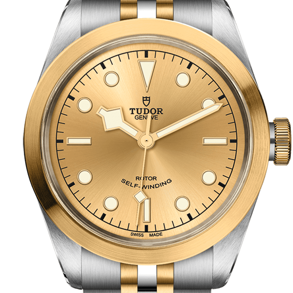 m79543-0002-tudor-black-bay-41-sandg-tdr0120297.png