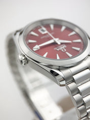 NEW 2025 Omega Seamaster Stainless Steel Red Dial 38mm Watch 220.10.38.20.13.003