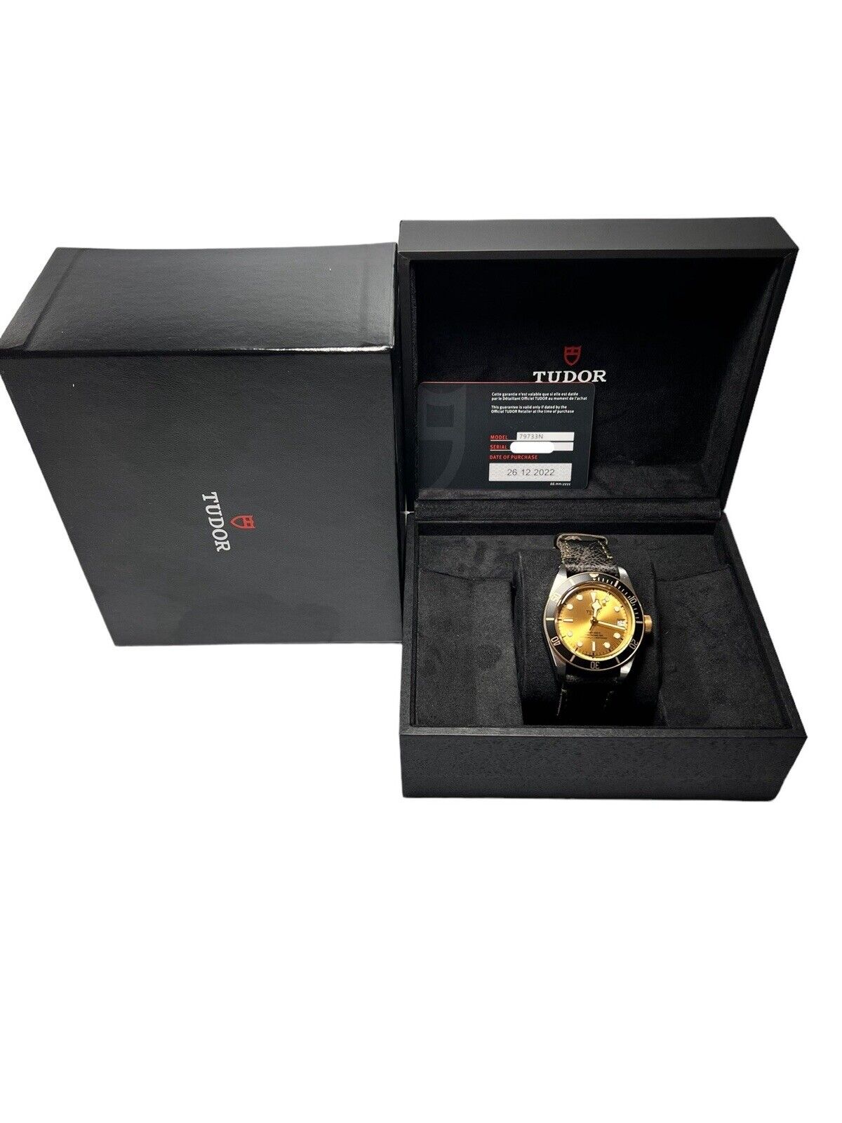 Tudor Black Bay S&G 41mm Stainless Steel Automatic Men’s Watch 79733N