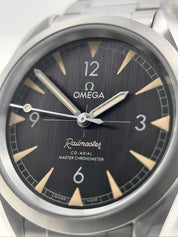 Omega Seamaster Railmaster Stainless Steel 40mm Automatic Men’s Watch