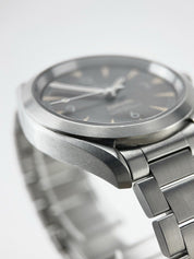 Omega Seamaster Railmaster Stainless Steel 40mm Automatic Men’s Watch