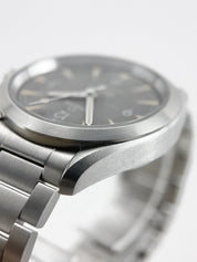 Omega Seamaster Railmaster Stainless Steel 40mm Automatic Men’s Watch