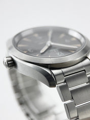 Omega Seamaster Railmaster Stainless Steel 40mm Automatic Men’s Watch