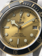 Tudor Black Bay S&G 41mm Stainless Steel Automatic Men’s Watch 79733N