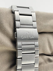 Omega Seamaster Railmaster Stainless Steel 40mm Automatic Men’s Watch